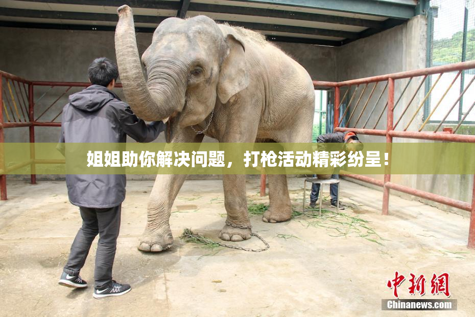姐姐助你解决问题，打枪活动精彩纷呈！