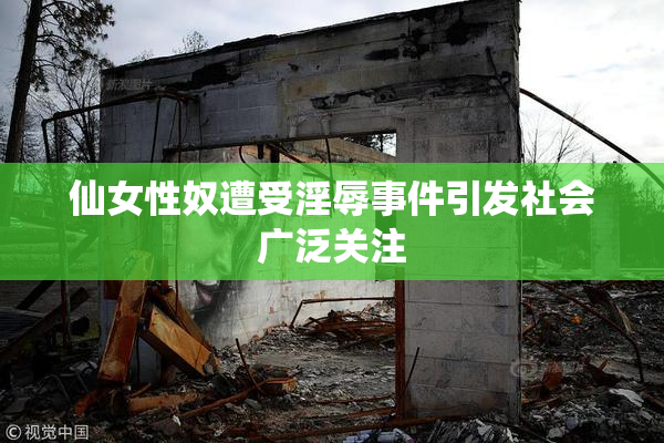 仙女性奴遭受淫辱事件引发社会广泛关注