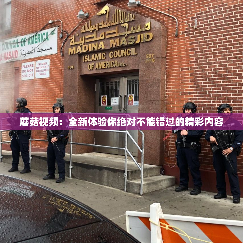 蘑菇视频：全新体验你绝对不能错过的精彩内容