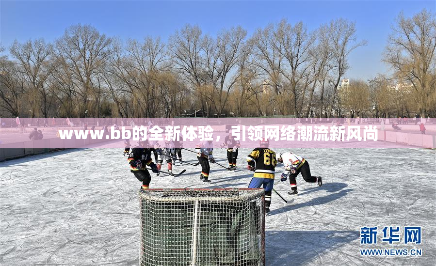 www.bb的全新体验，引领网络潮流新风尚