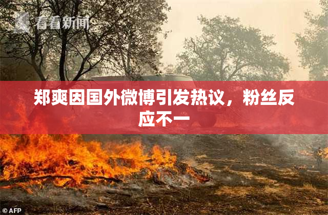 郑爽因国外微博引发热议，粉丝反应不一