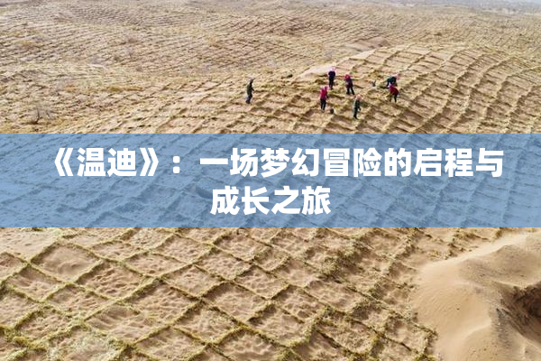 《温迪》：一场梦幻冒险的启程与成长之旅
