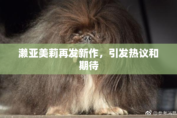 濑亚美莉再发新作，引发热议和期待