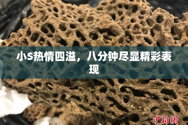 小S热情四溢，八分钟尽显精彩表现