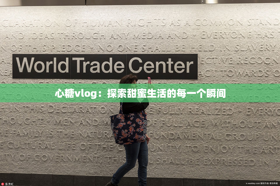 心糖vlog：探索甜蜜生活的每一个瞬间