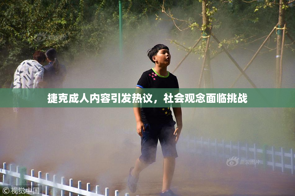 捷克成人内容引发热议，社会观念面临挑战