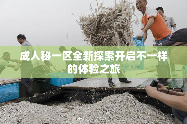 成人秘一区全新探索开启不一样的体验之旅