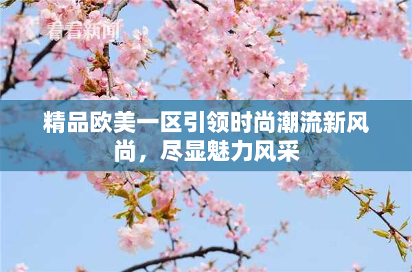 精品欧美一区引领时尚潮流新风尚，尽显魅力风采