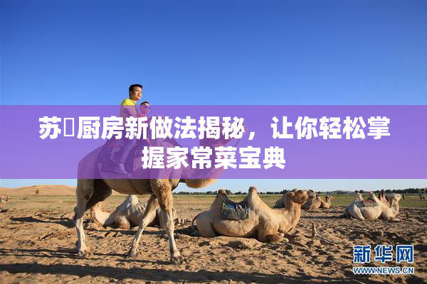 苏玥厨房新做法揭秘，让你轻松掌握家常菜宝典