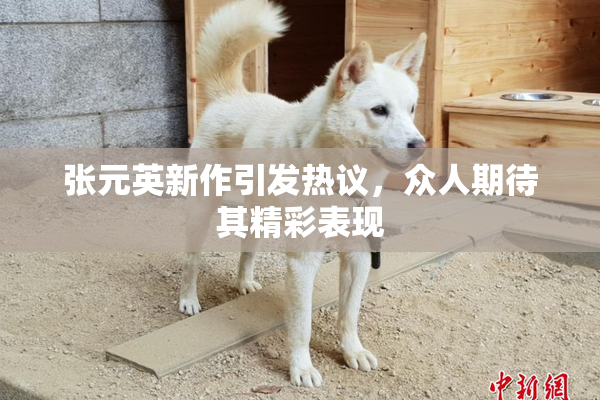 张元英新作引发热议，众人期待其精彩表现