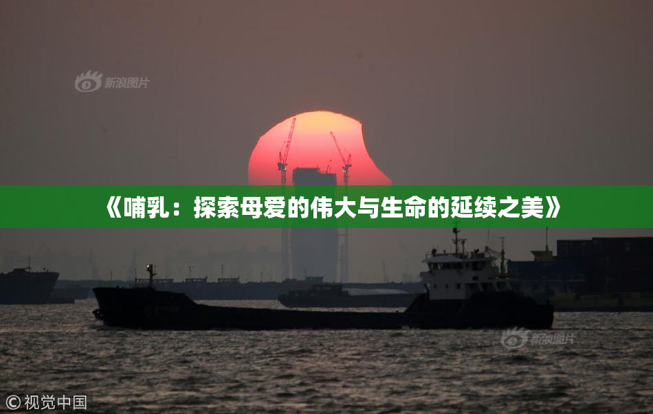 《哺乳：探索母爱的伟大与生命的延续之美》