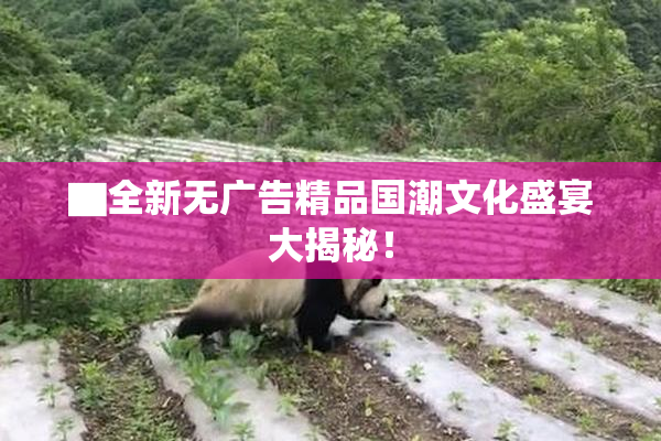 ▇全新无广告精品国潮文化盛宴大揭秘！
