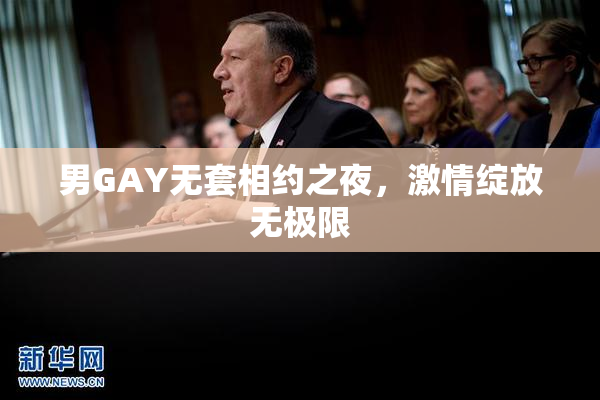 男GAY无套相约之夜，激情绽放无极限
