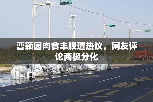 曹颖因肉食丰腴遭热议，网友评论两极分化