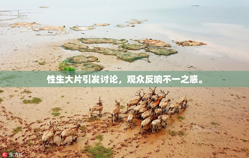 性生大片引发讨论，观众反响不一之惑。