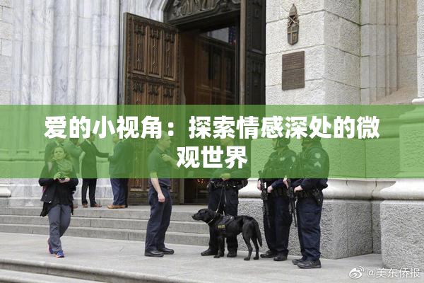 爱的小视角：探索情感深处的微观世界