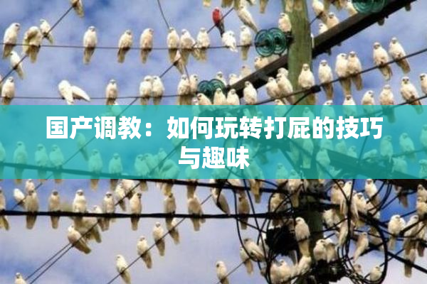 国产调教：如何玩转打屁的技巧与趣味