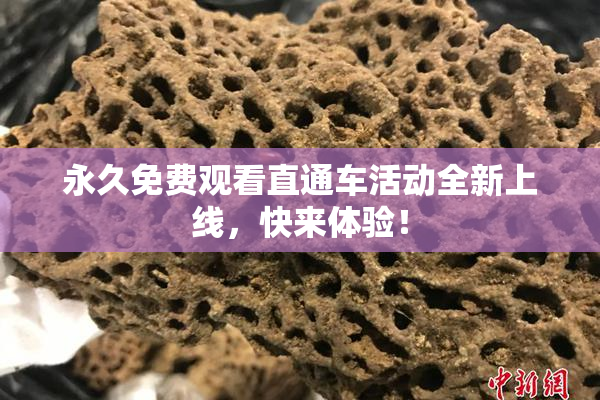 永久免费观看直通车活动全新上线，快来体验！