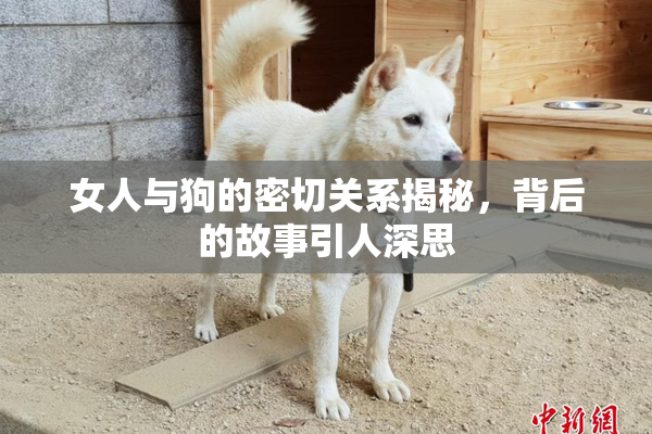 女人与狗的密切关系揭秘，背后的故事引人深思
