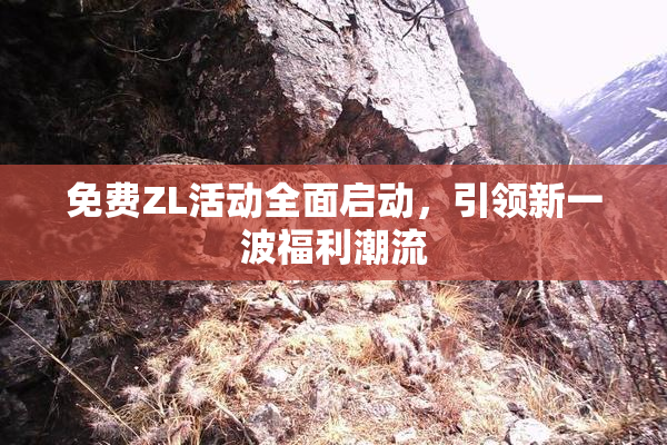免费ZL活动全面启动，引领新一波福利潮流