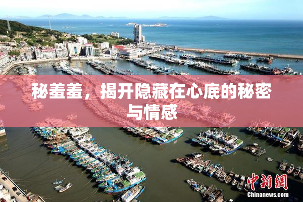 秘羞羞，揭开隐藏在心底的秘密与情感