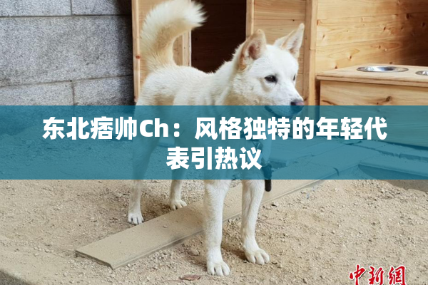 东北痞帅Ch：风格独特的年轻代表引热议