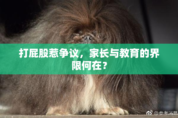 打屁股惹争议，家长与教育的界限何在？