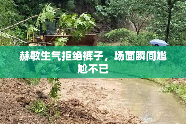 赫敏生气拒绝裤子，场面瞬间尴尬不已