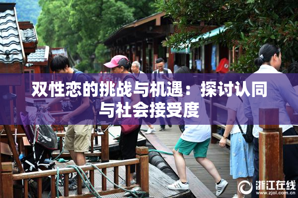 双性恋的挑战与机遇：探讨认同与社会接受度