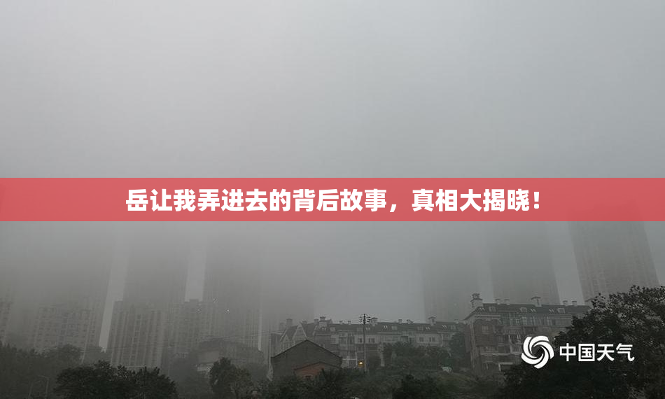 岳让我弄进去的背后故事，真相大揭晓！
