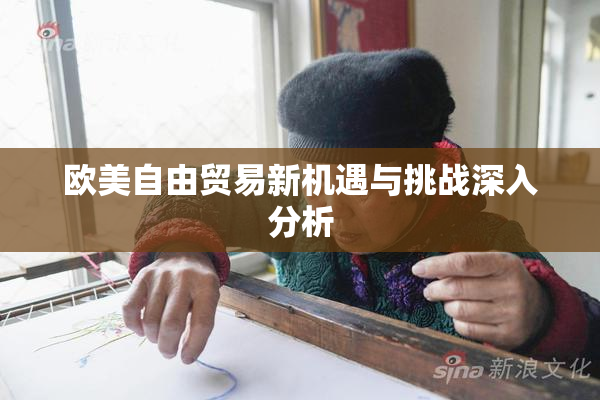 欧美自由贸易新机遇与挑战深入分析