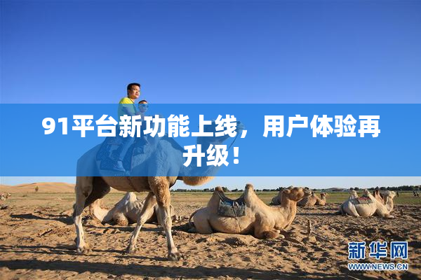 91平台新功能上线，用户体验再升级！