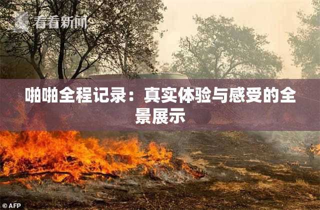 啪啪全程记录：真实体验与感受的全景展示