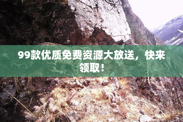 99款优质免费资源大放送，快来领取！