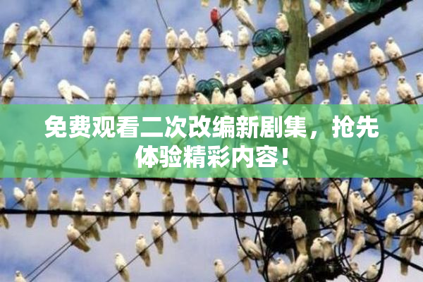 免费观看二次改编新剧集，抢先体验精彩内容！