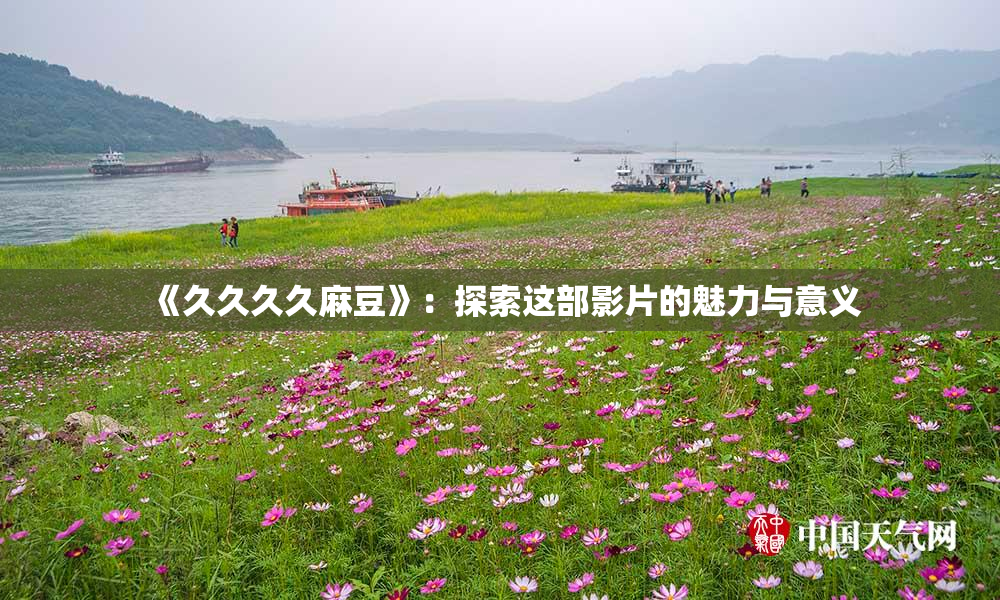 《久久久久麻豆》：探索这部影片的魅力与意义
