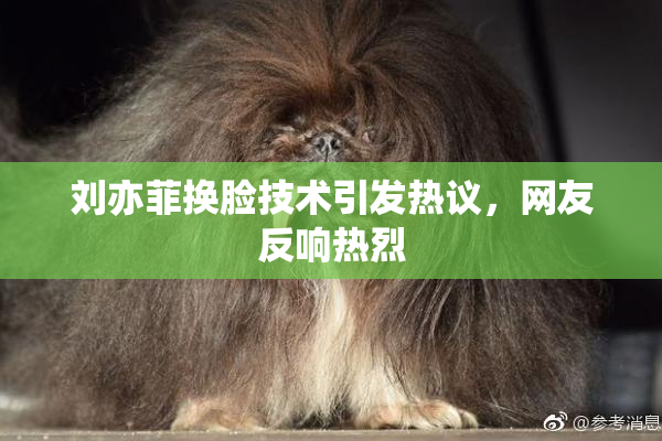 刘亦菲换脸技术引发热议，网友反响热烈