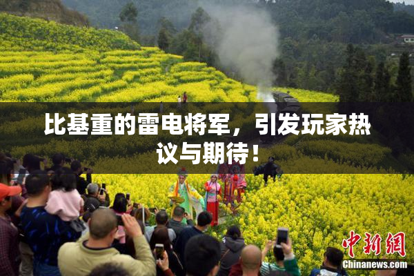 比基重的雷电将军，引发玩家热议与期待！