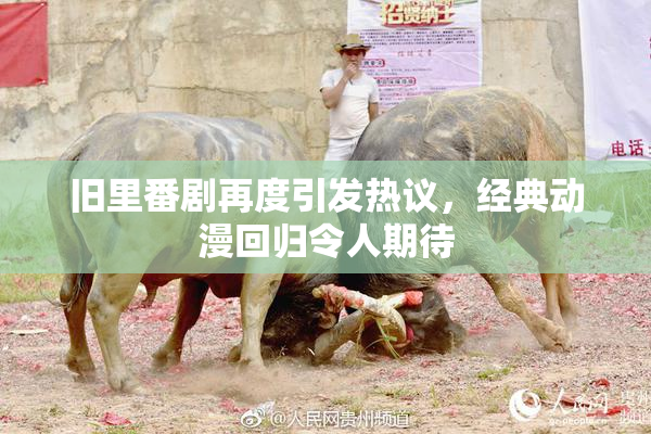 旧里番剧再度引发热议，经典动漫回归令人期待