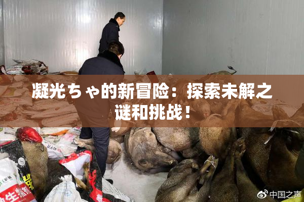 凝光ちゃ的新冒险：探索未解之谜和挑战！