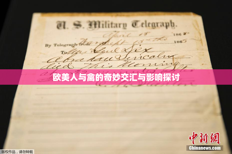欧美人与禽的奇妙交汇与影响探讨