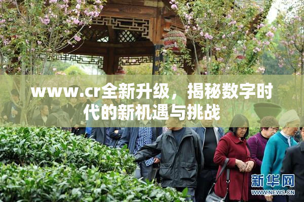 www.cr全新升级，揭秘数字时代的新机遇与挑战