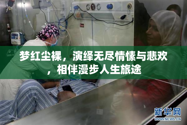 梦红尘裸，演绎无尽情愫与悲欢，相伴漫步人生旅途
