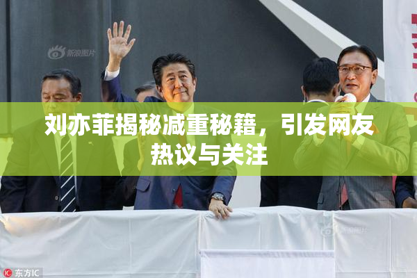 刘亦菲揭秘减重秘籍，引发网友热议与关注