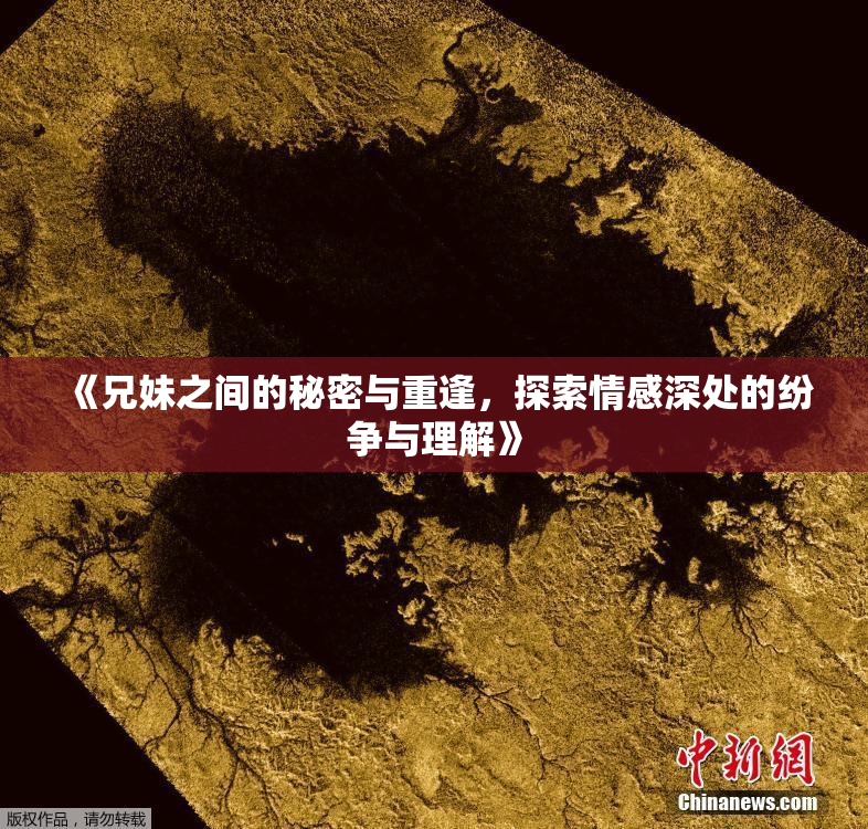 《兄妹之间的秘密与重逢，探索情感深处的纷争与理解》
