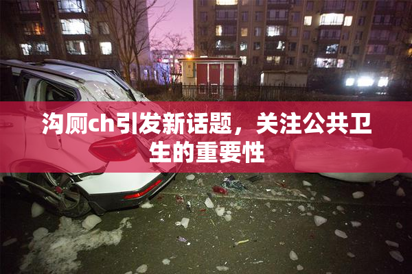 沟厕ch引发新话题，关注公共卫生的重要性