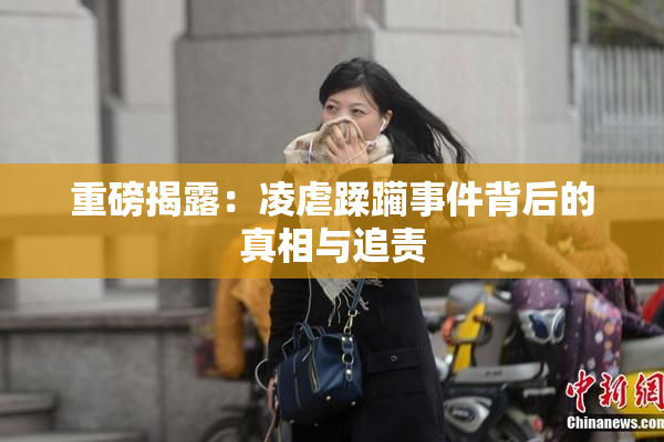 重磅揭露：凌虐蹂躏事件背后的真相与追责