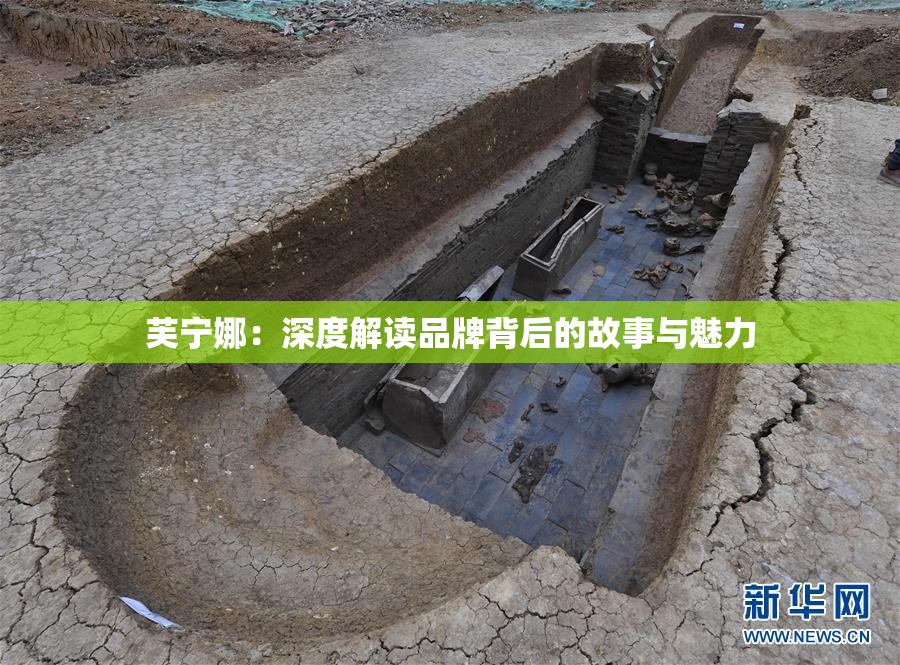 芙宁娜：深度解读品牌背后的故事与魅力
