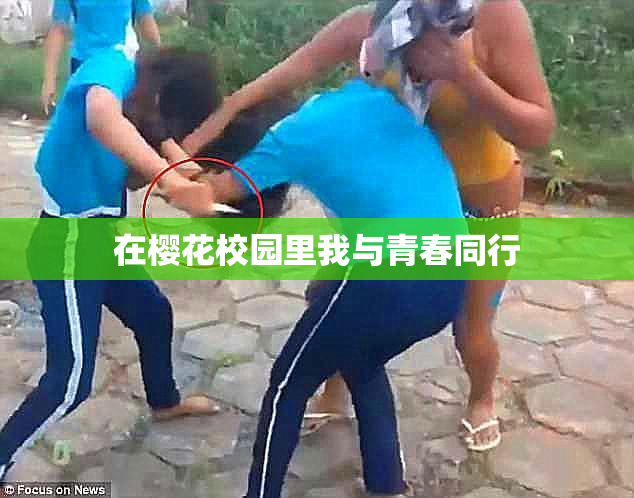 在樱花校园里我与青春同行