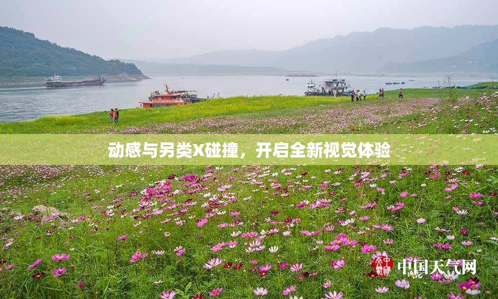 动感与另类X碰撞，开启全新视觉体验